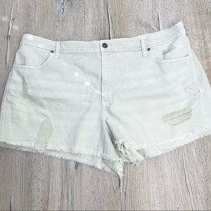 Aerie by American Eagle Distressed Jean Shorts Sz XXL